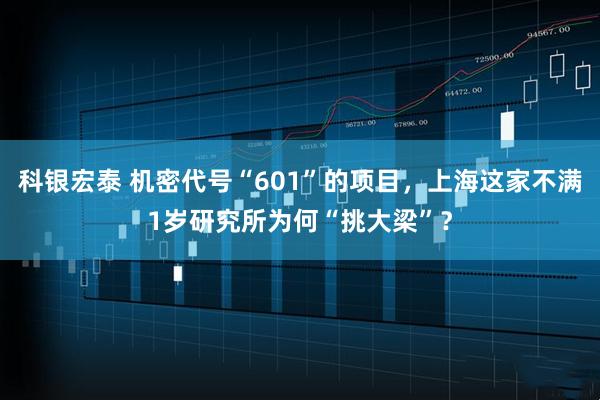 科银宏泰 机密代号“601”的项目，上海这家不满1岁研究所为何“挑大梁”？