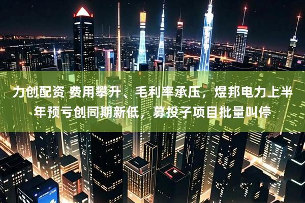力创配资 费用攀升、毛利率承压，煜邦电力上半年预亏创同期新低，募投子项目批量叫停